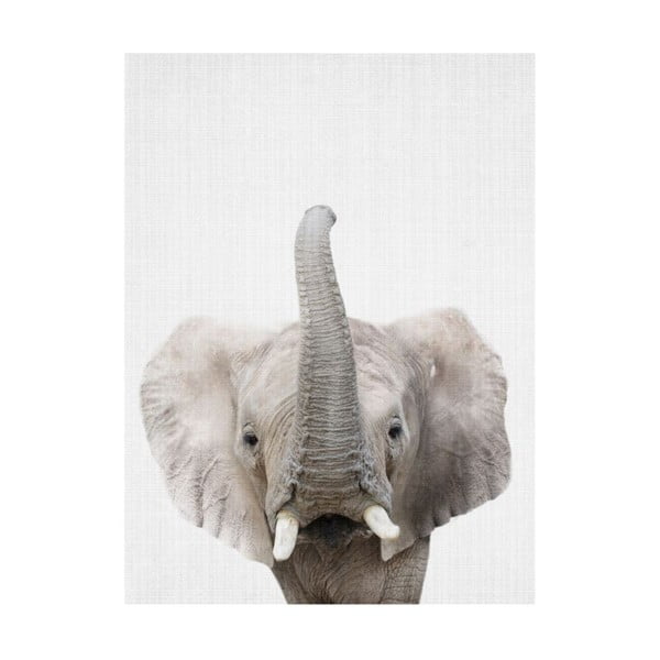 Poster Blue-Shaker Baby Animals Elephant, 30 x 40 cm