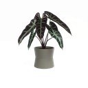 Ghiveci din ceramică ø 20 cm Diana – Artevasi