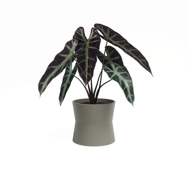 Ghiveci din ceramică ø 20 cm Diana – Artevasi