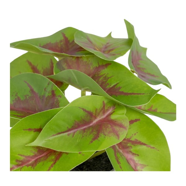 Plantă artificială (înălțime 20 cm) Syngonium – Ixia-image-2