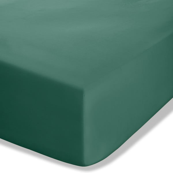 Cearceaf verde închis din bumbac percale cu elastic 90x190 cm Easy Iron Percale – Catherine Lansfield