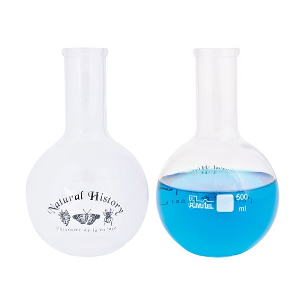 Vază din sticlă (înălțime 23 cm) Natural History – Esschert Design-image-2