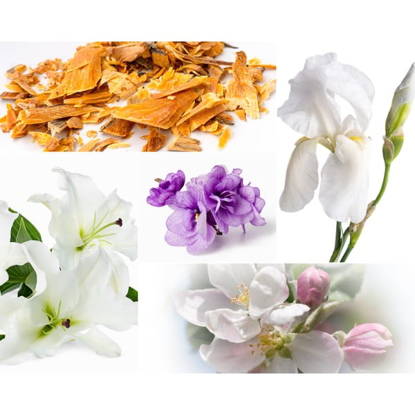 Lumânare parfumată din ceară de soia timp de ardere 60 h Muscs Poudres – Privé Home-image-2