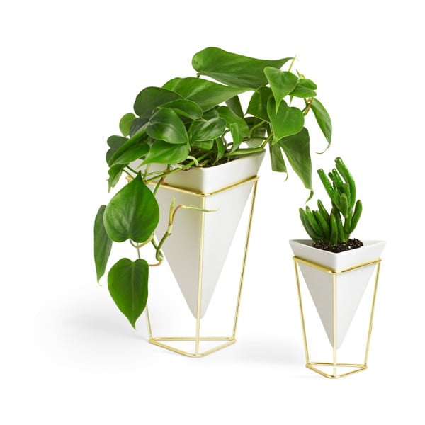 Set 2 ghivece din ceramică și cadru auriu Umbra Trigg-image-3