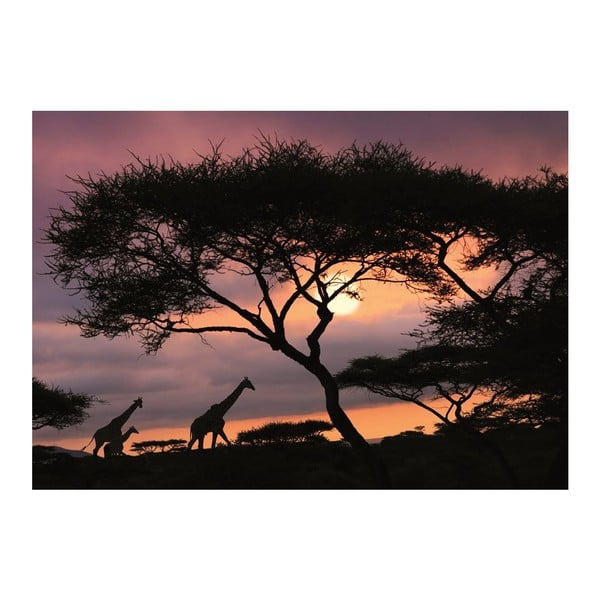 Tapet African Safari, 400x280 cm