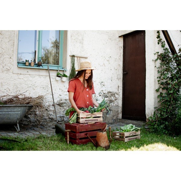 Lădiță din lemn pentru ierburi aromatice și flori Premier Housewares Provisions, 25 x 35 cm-image-4