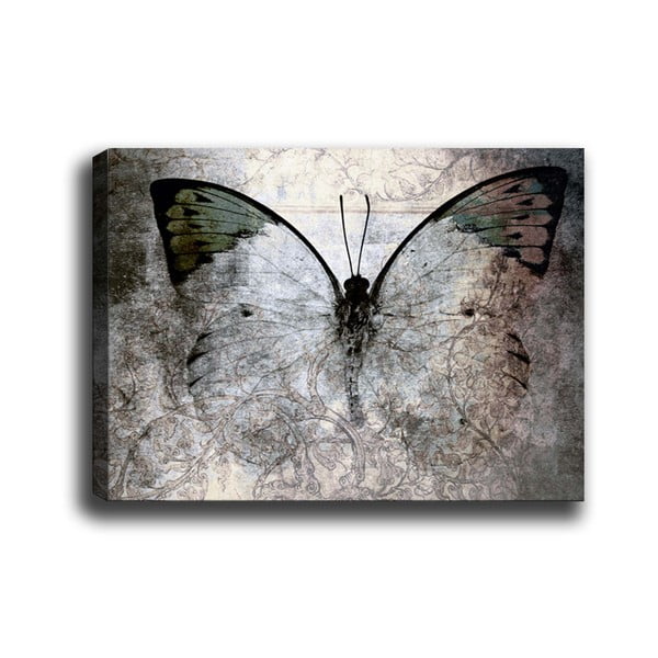 Tablou Tablo Center Fading Butterfly, 70 x 50 cm