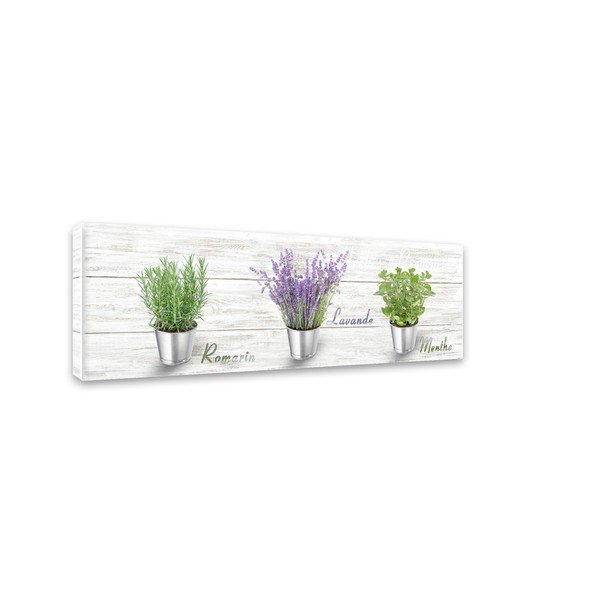 Tablou Styler Canvas Shabby Herbs, 27 x 75 cm-image-2