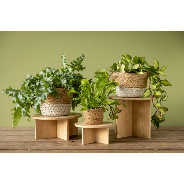Suport pentru flori din bambus ø 25 cm (înălțime 19,5 cm) – Esschert Design-image-3