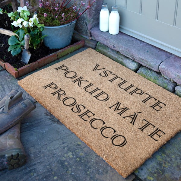 Covoraș de intrare din fibre de nucă de cocos 40x60 cm Prosecco – Artsy Doormats-image-3