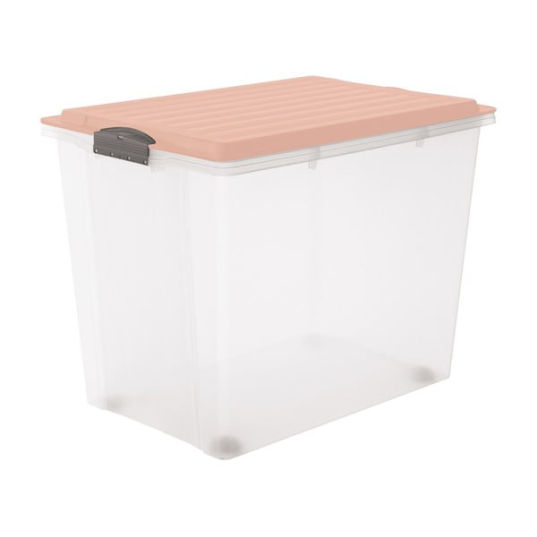 Cutie de depozitare din plastic cu capac Compact – Rotho