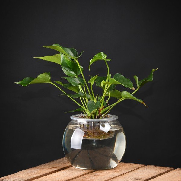 Ghiveci pentru creșterea plantelor Esschert Design, înălțime 17,6 cm-image-1