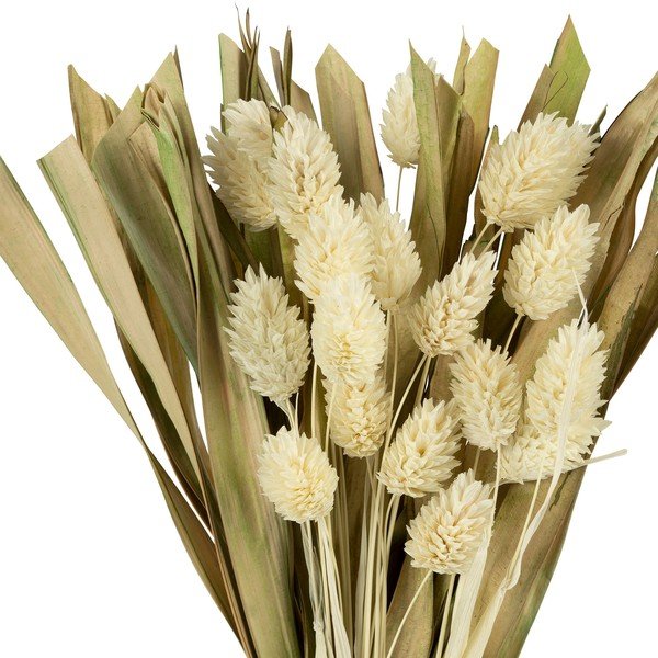 Plantă artificială Phalaris – Sema-image-1