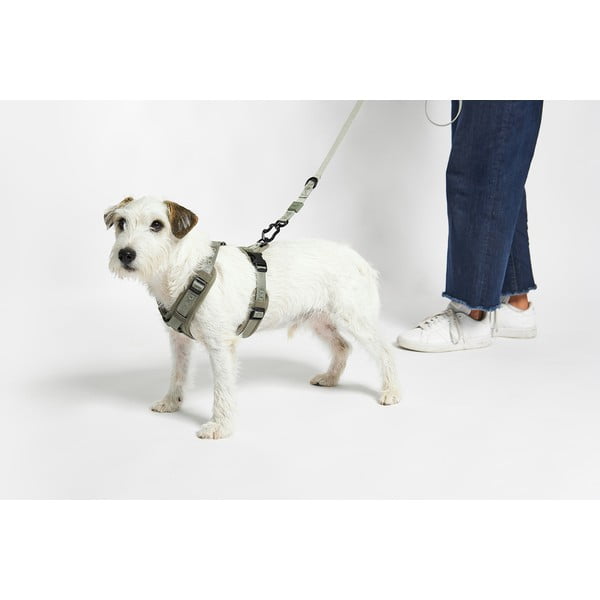 Ham verde M lungime 35 cm Modena Grolive M – MiaCara-image-2