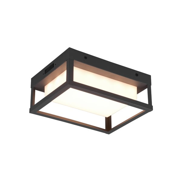 Corp de iluminat pentru exterior LED de perete (înălțime 24 cm) Witham – Trio-image-2