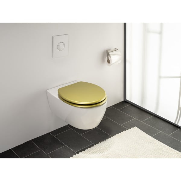 Capac WC 38 x 41 cm Aldeno – Wenko-image-1