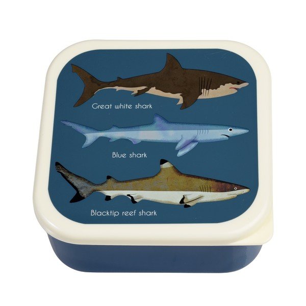 Cutii de gustări pentru copii albastru-închis 3 buc. Sharks – Rex London-image-3