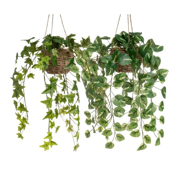 Plante artificiale 2 buc. (înălțime 50 cm) – Casa Selección