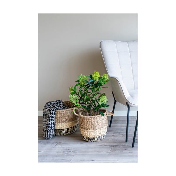 Plantă artificială Skimmia - House Nordic-image-2