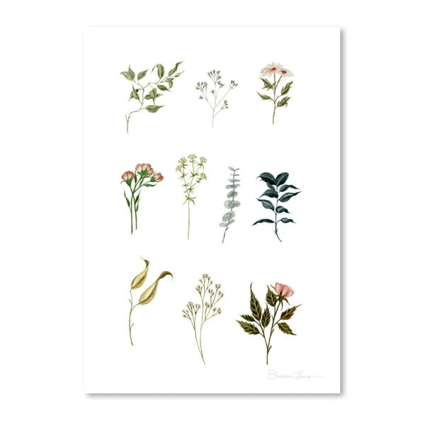 Poster Americanflat Delicate Botanica Lpieces by Shealeen Louise, 30 x 42 cm