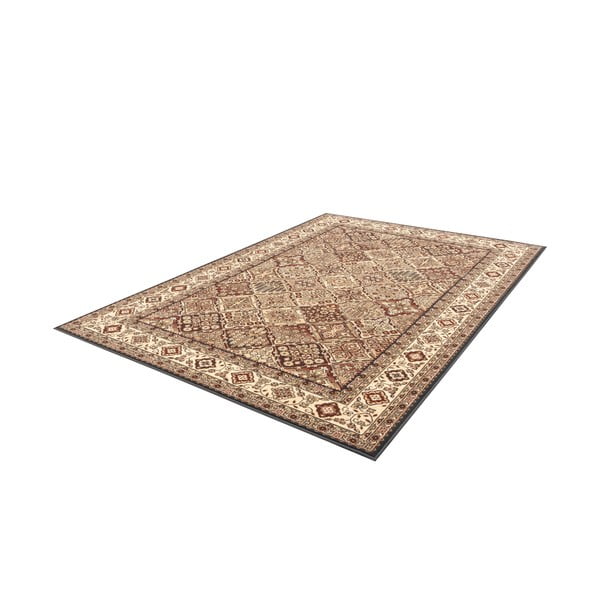 Covor teracotă 200x300 cm Bergenia – FD-image-4