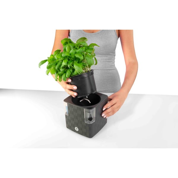 Ghiveci din plastic pentru ierburi aromatice/cu sistem de auto-irigare Cobble – Flower Lover-image-1