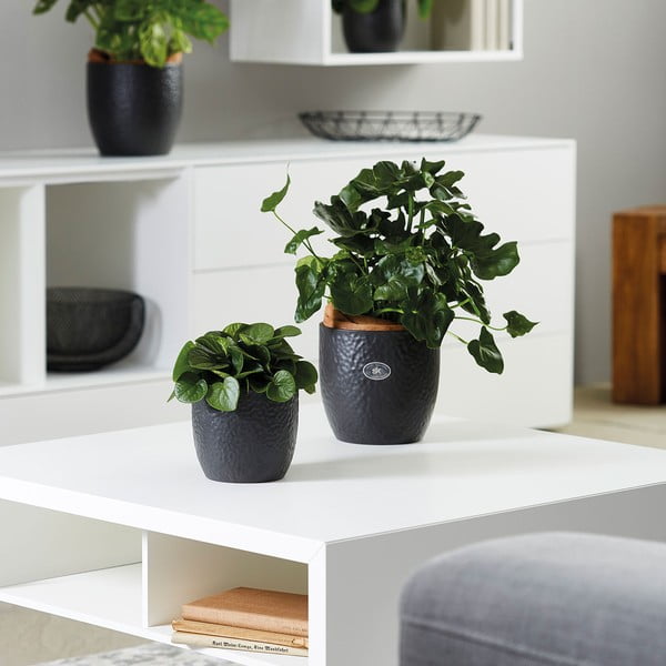 Ghiveci din ceramică ø 27 cm Boston Mate - Big pots-image-1