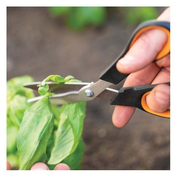 Foarfecă pentru tăierea ierburilor aromatice și legumelor Fiskars Solid Veggie-image-1