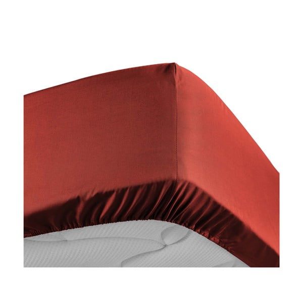 Cearceaf cărămiziu din bumbac percal cu elastic 180x200 cm Percaline – douceur d'intérieur-image-3