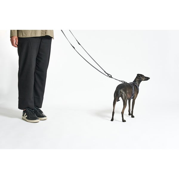 Lesă bej cu prindere prin carabină lungime 200 cm Modena Greige 20 mm – MiaCara-image-2