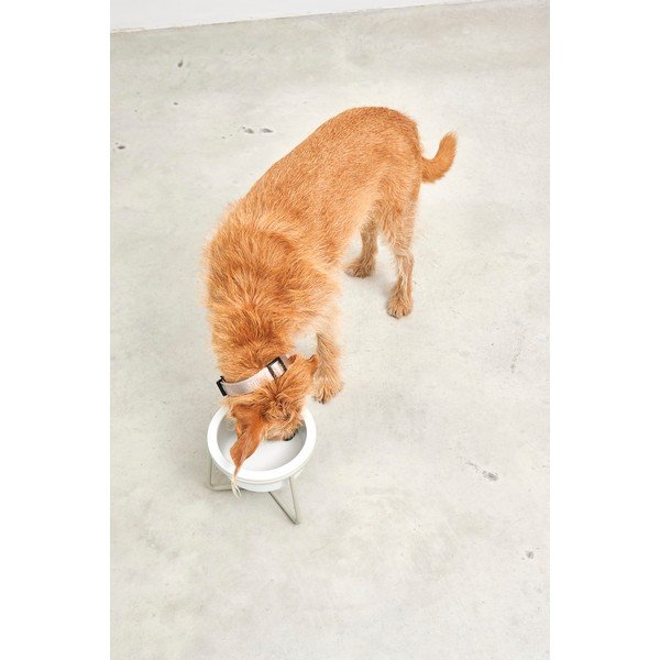 Bol cu suport  pentru câini din porțelan ø 20 cm Pranzo Greige M – MiaCara-image-4