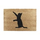 Covoraș de intrare din fibre de nucă de cocos 40x60 cm Cat – Artsy Doormats