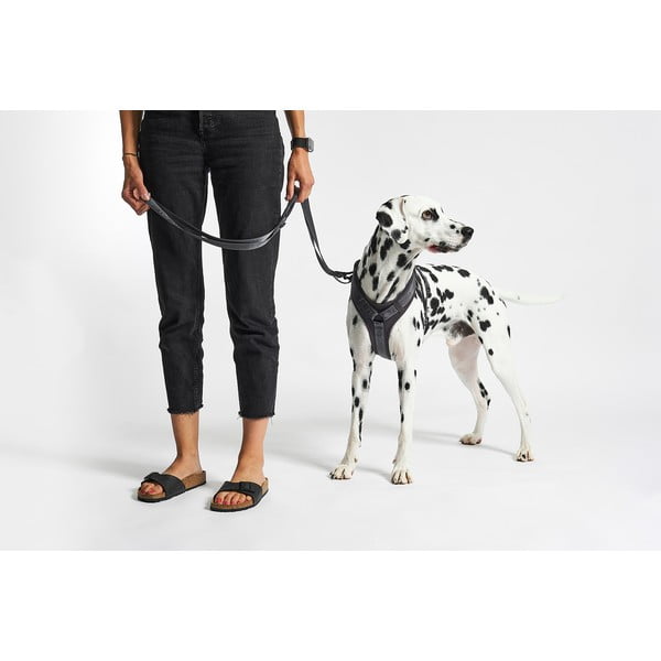 Ham gri închis L lungime 42 cm Modena Asphalt L – MiaCara-image-1