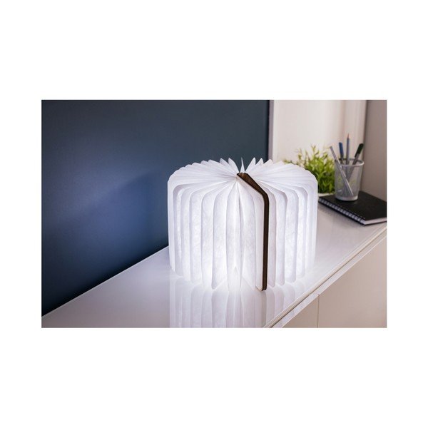 Decorațiune luminoasă în culoare naturală cu USB Booklight – Gingko-image-3