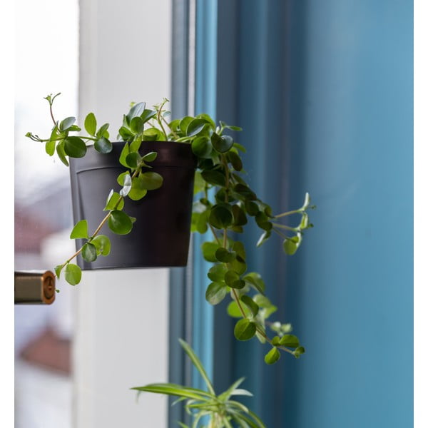 Ghivece 2 buc. din plastic suspendate și de perete ø 10 cm – Esschert Design-image-4