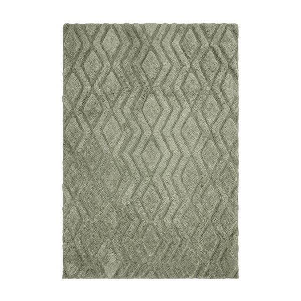 Covor verde 290x200 cm Harrison - Asiatic Carpets