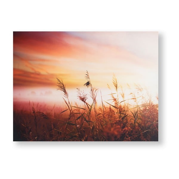 Tablou Graham & Brown Morning Sunrise Meadow, 80 x 60 cm