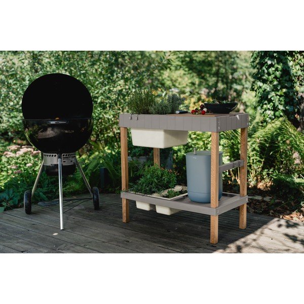 Pat ridicat de plante – Plastia-image-1