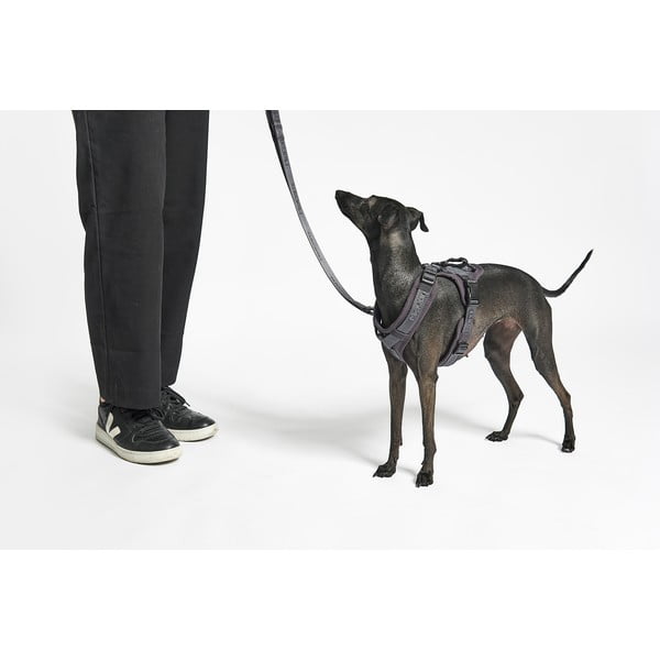 Ham bej XS lungime 25 cm Modena Greige XS – MiaCara-image-2