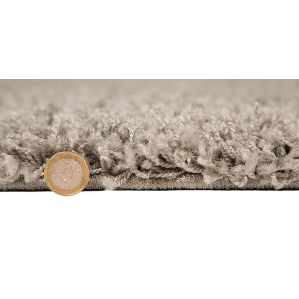 Covor Flair Rugs Cariboo Silver, 80 x 150 cm-image-3