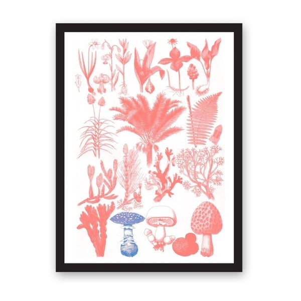 Poster Ohh Deer Collection Of Flora, 29,7 x 42 cm
