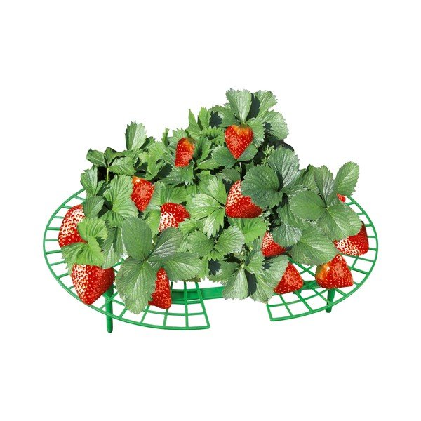 Suporturi pentru plante 5 buc. – Maximex-image-2