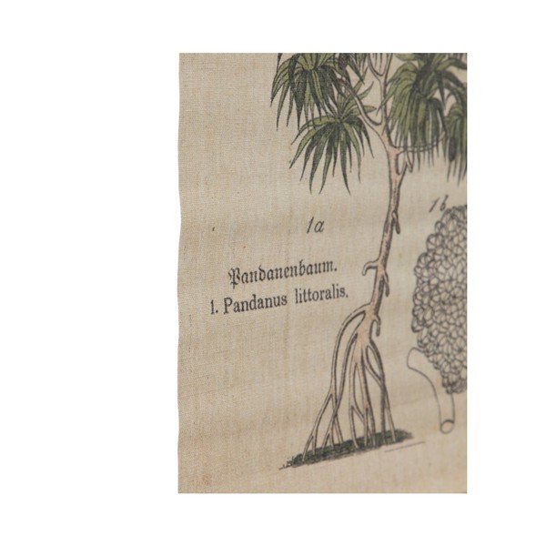 Tapiserie 50x70 cm Palm – Ixia-image-1