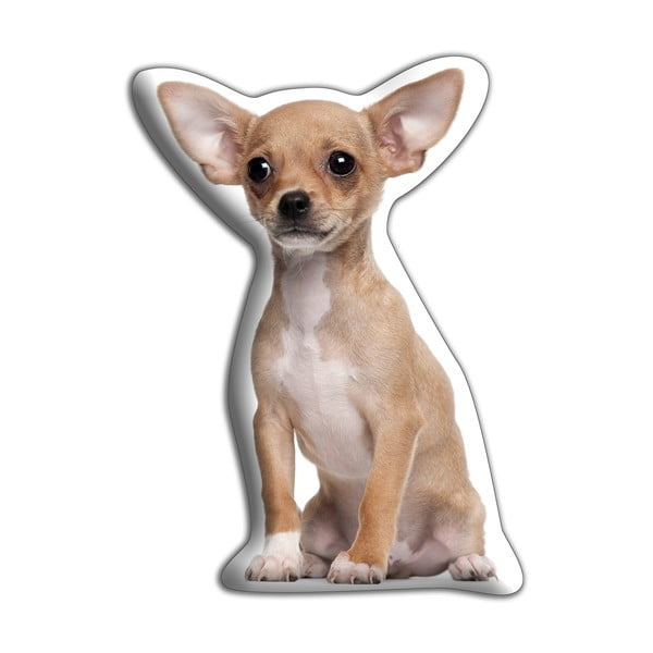 Pernuță cu imprimeu Adorable Cushions Chihuahua