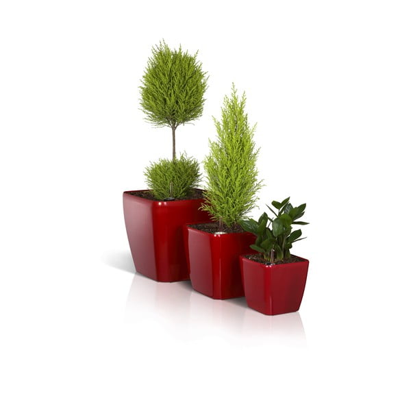 Ghiveci cu sistem auto-udare Flower Lover Quadrato, 33,3 x 33,3 cm, roșu-image-4