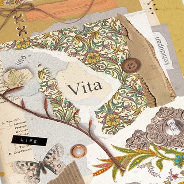 Caiete 192 pagini A5 2 buc. Vita – Kartos-image-3