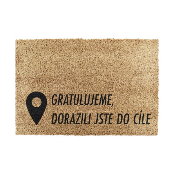 Covoraș de intrare din fibre de nucă de cocos 40x60 cm Pin – Artsy Doormats