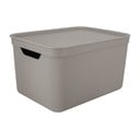 Cutie de depozitare din plastic cu capac Deco  - Rotho