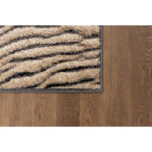 Covor maro 160x220 cm Avanti – FD-image-3