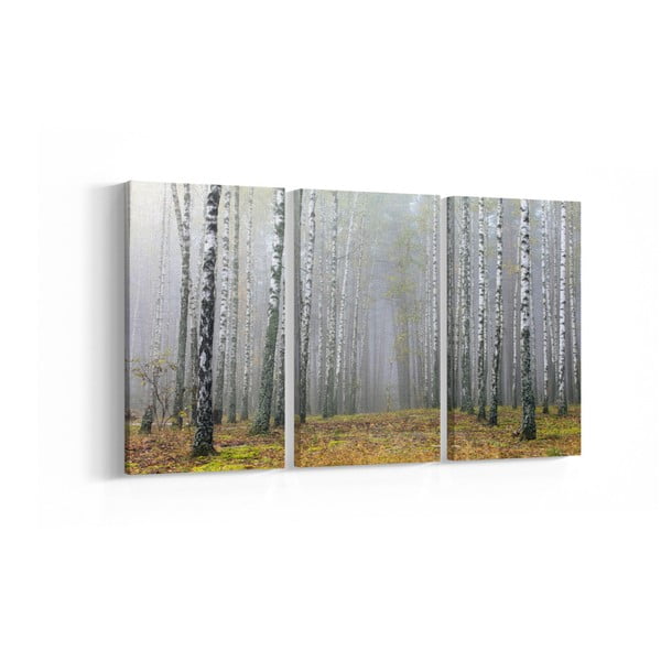 Set 3 tablouri Birch, 30 x 60 cm